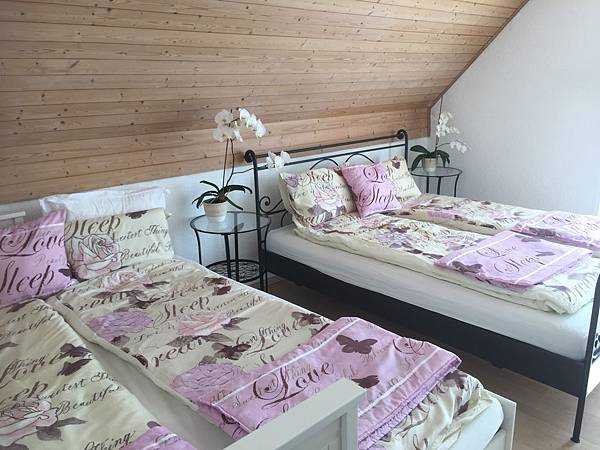 image.jpeg image.jpeg