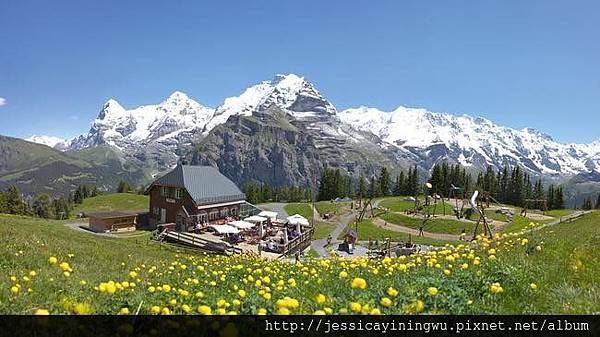 image.jpeg image.jpeg