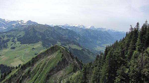 image.jpeg image.jpeg