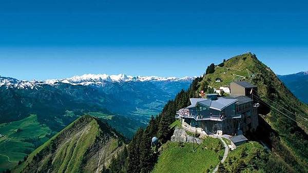 image.jpeg image.jpeg