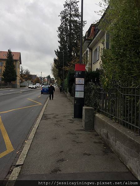 image.jpeg image.jpeg