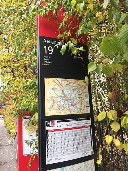 image.jpeg image.jpeg