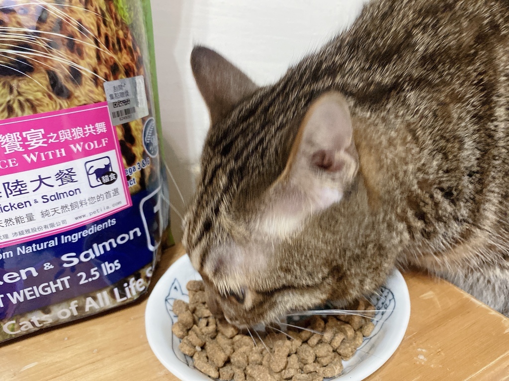 全天然無穀飼料推薦｜荒野饗宴｜貓-海陸大餐｜來自澳洲純淨大自