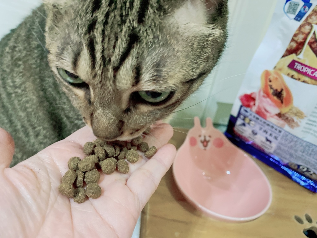 wdj推薦飼料｜Petzoo評價｜法米納天然熱帶水果寵糧｜F