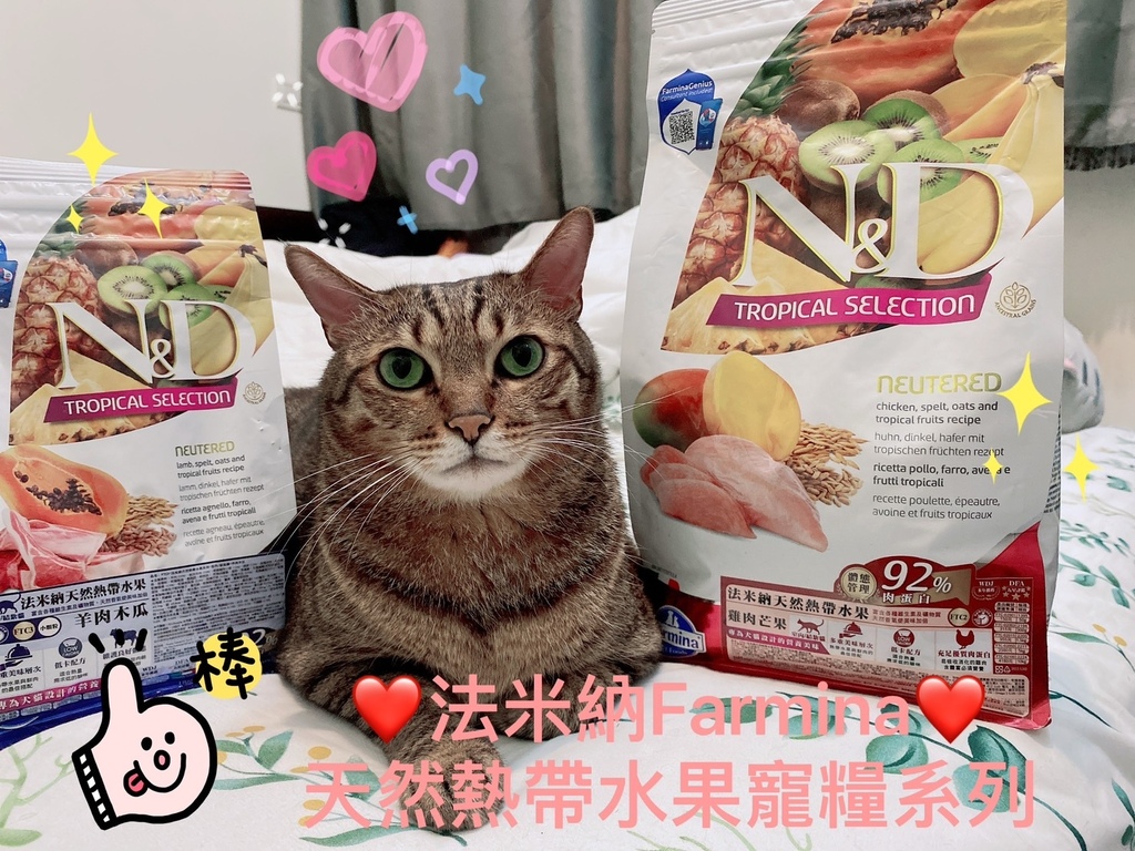 wdj推薦飼料｜Petzoo評價｜法米納天然熱帶水果寵糧｜F