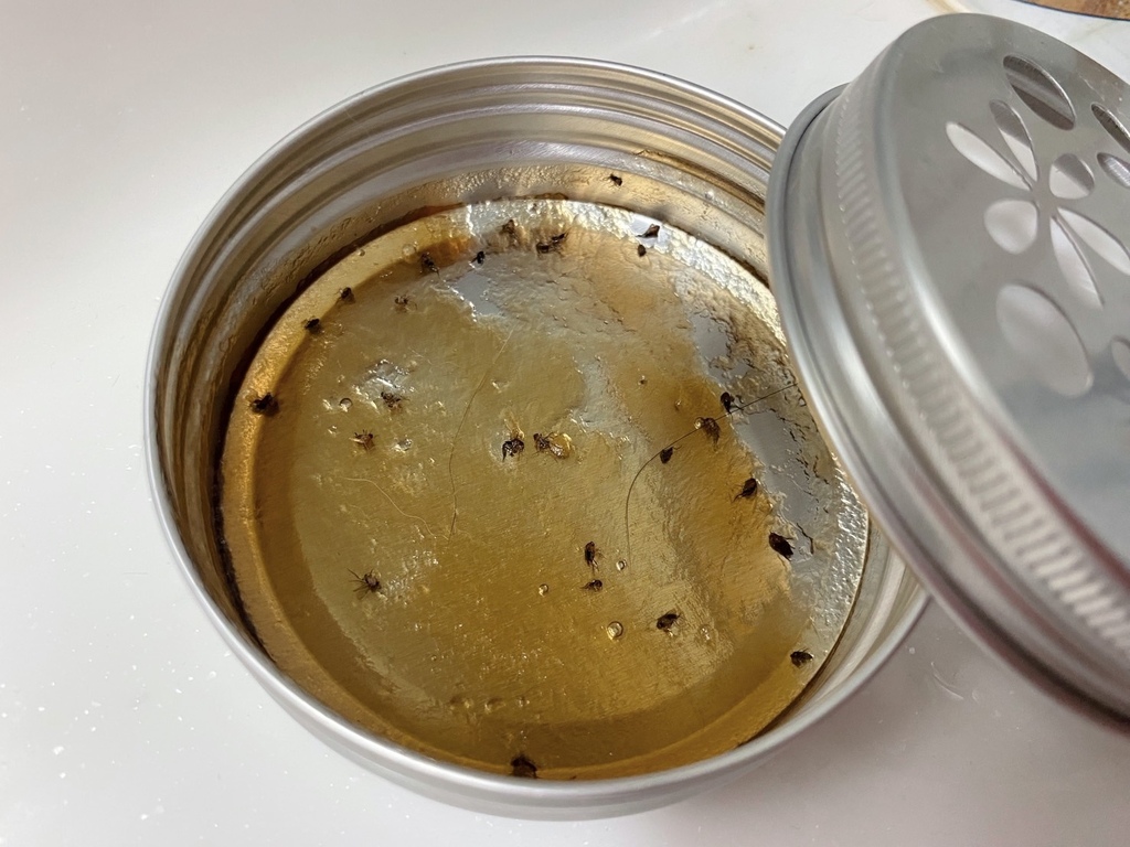 居家除蟲好物推薦|福來朗Hukurou|TIMBER驅蟲地板 居家除蟲好物推薦|福來朗Hukurou|TIMBER驅蟲地板