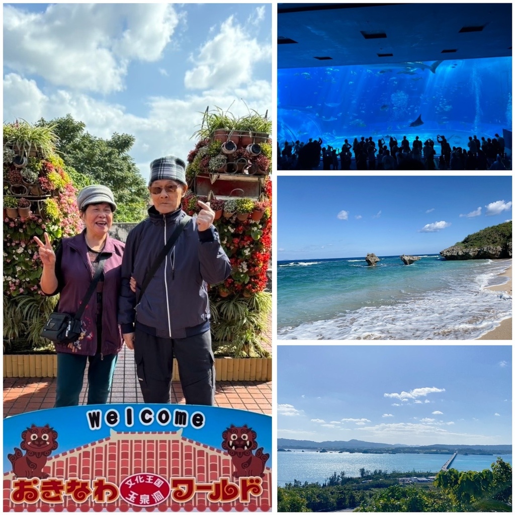 【我的東北亞夢想清單】沖繩必去景點｜美麗海水族館・古宇利島・