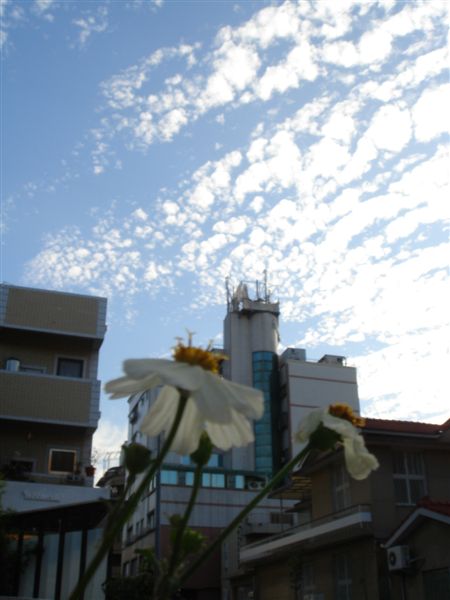 花兒：你看那天空