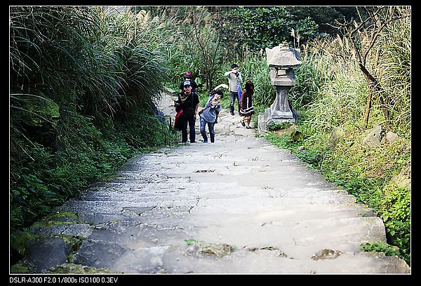 DSC03138.JPG
