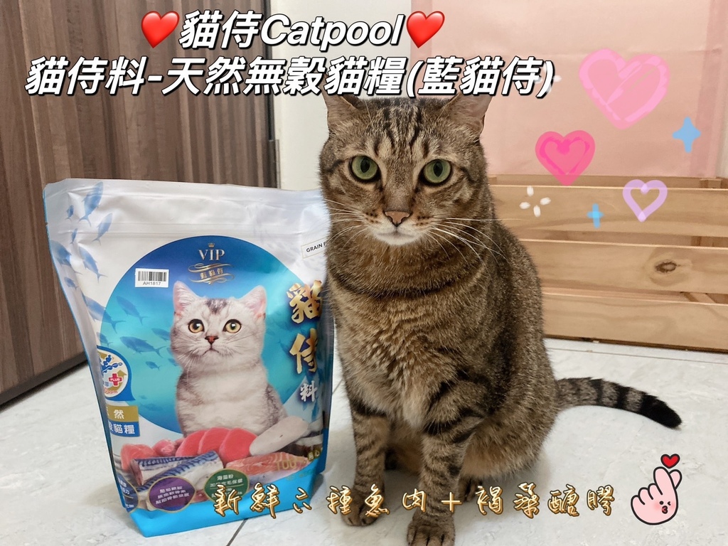 挑嘴貓飼料怎麼選｜貓侍Catpool｜藍貓侍｜天然無穀貓糧｜