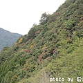 IMG_6900_大小 .JPG