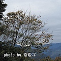 IMG_6850_大小 .JPG