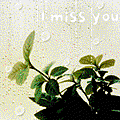 i miss you.gif