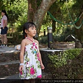 nEO_IMG_DSC08883