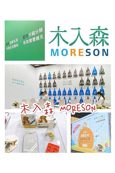木入森 Moreson 119988234_1237247733275533_1823268266863275006_n.jpg