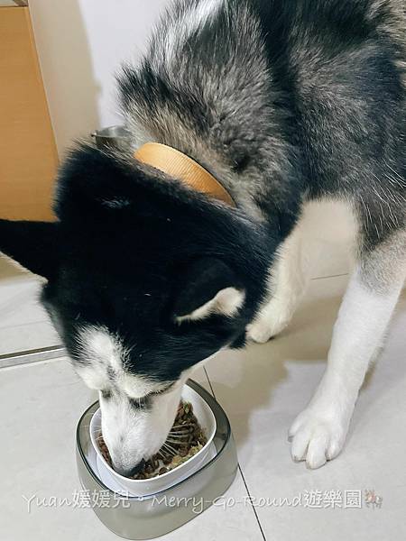 223167086_327107342444376_1665720393960235409_n (1).jpg