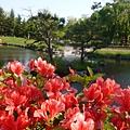 中島公園晃晃，參觀日本庭院與江戶時代初期的茶室八窗庵～