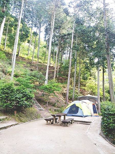 5 7 四國第一晚入住愛媛縣營地森林小木屋 えひめ森林公園 N Jpg 慵懶姐的相簿 痞客邦