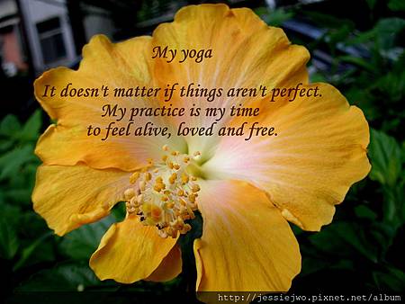 my yoga-1 my yoga-1