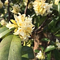 IMG_2944.JPG