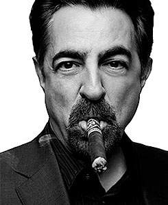 cm-joemantegna-tumblr_m2lcaa16DC1qeofl5o1_250