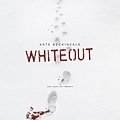 Whiteout 02.jpg