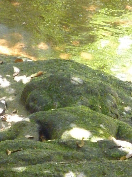 P1020712 水底浮雕.JPG P1020712 水底浮雕.JPG