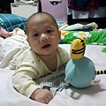 2012-11-06 19.12.35