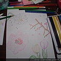 20141125_114202