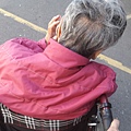 20190207(19).JPG