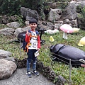 20181103_103735.jpg