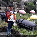 20181103_103744.jpg