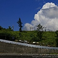 2019724~727花東遊_190805_0029.jpg