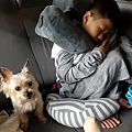 20190724_042747.jpg