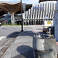 20190724_074313.jpg