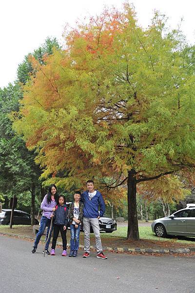 DSC_3430_00003.jpg DSC_3430_00003.jpg