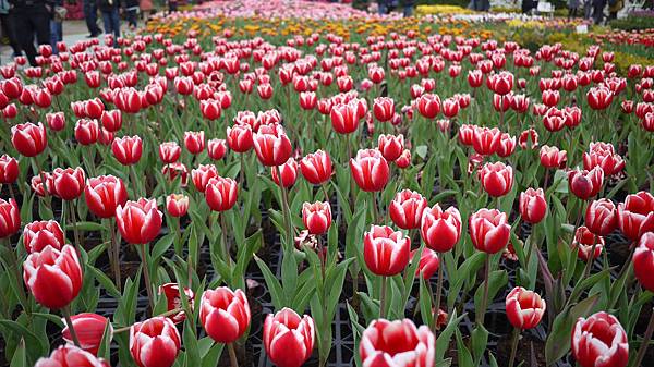 P1280816.JPG P1280816.JPG