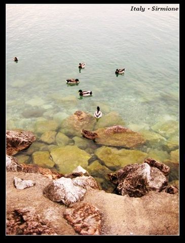 sirmione_shore5.jpg