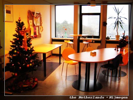 christmastree.jpg christmastree.jpg