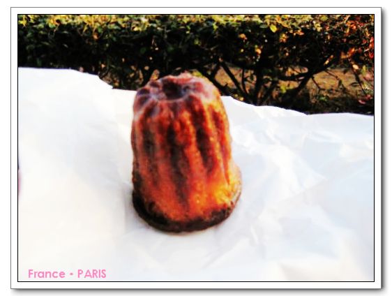 Laduree_Canele.jpg