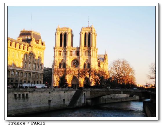 Notre Dame24.jpg