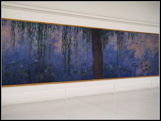 Musee de lOrangerie_Monet_waterlily2.jpeg