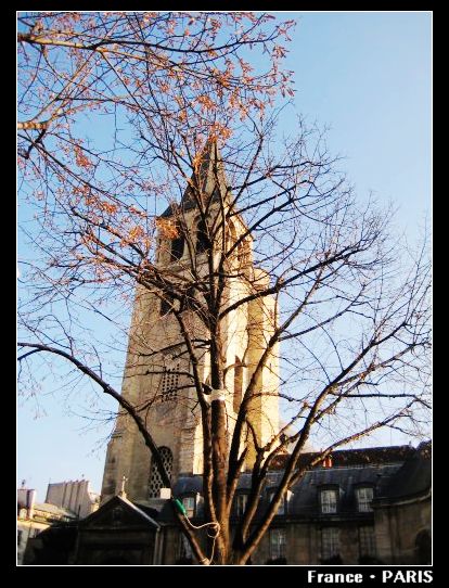 St Germain des Pres2.jpg