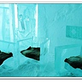 IceHotel_Icebar5.JPG