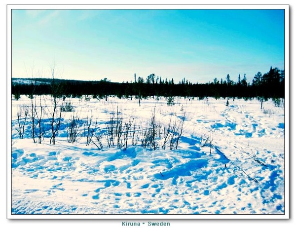 Kiruna_D2_plain2.jpg Kiruna_D2_plain2.jpg