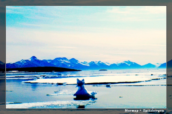 Spitsbergen_floatingice1.jpg