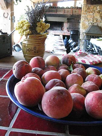 IMG_6243.JPG IMG_6243.JPG