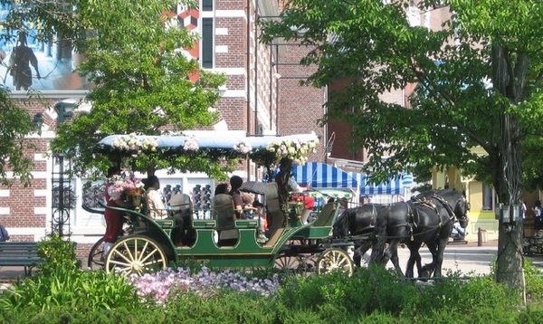 馬車遊園,不知多少錢~