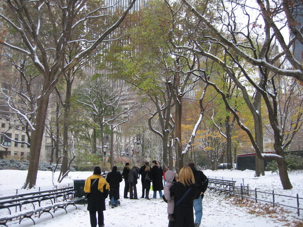 Central Park