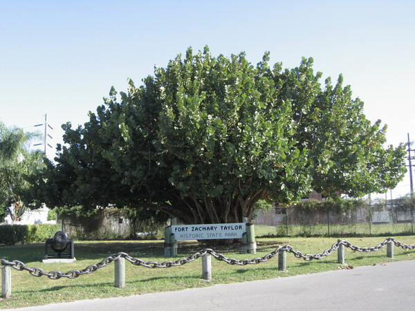 Historic State Park 前之大樹與大砲